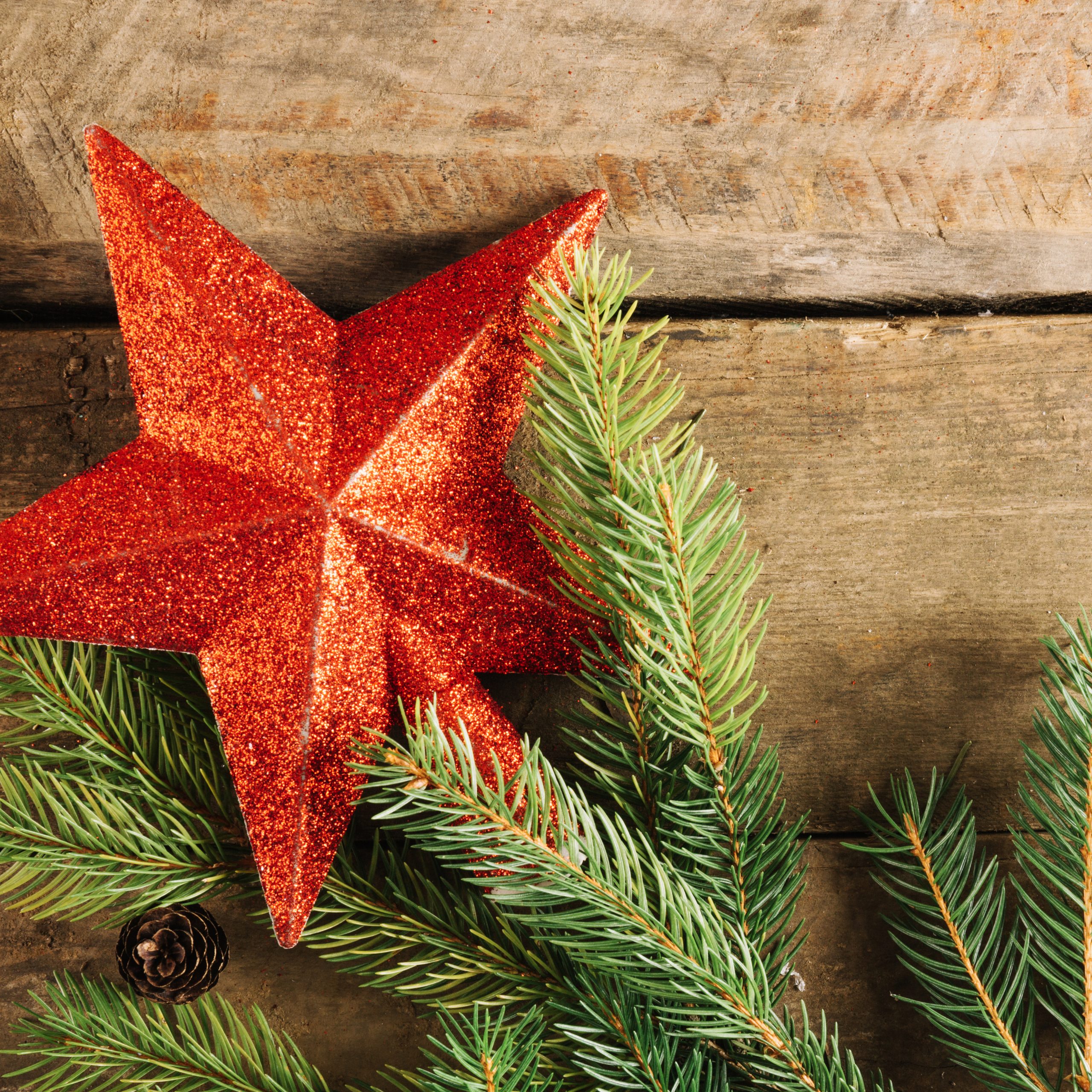 close-up-view-christmas-star-fir